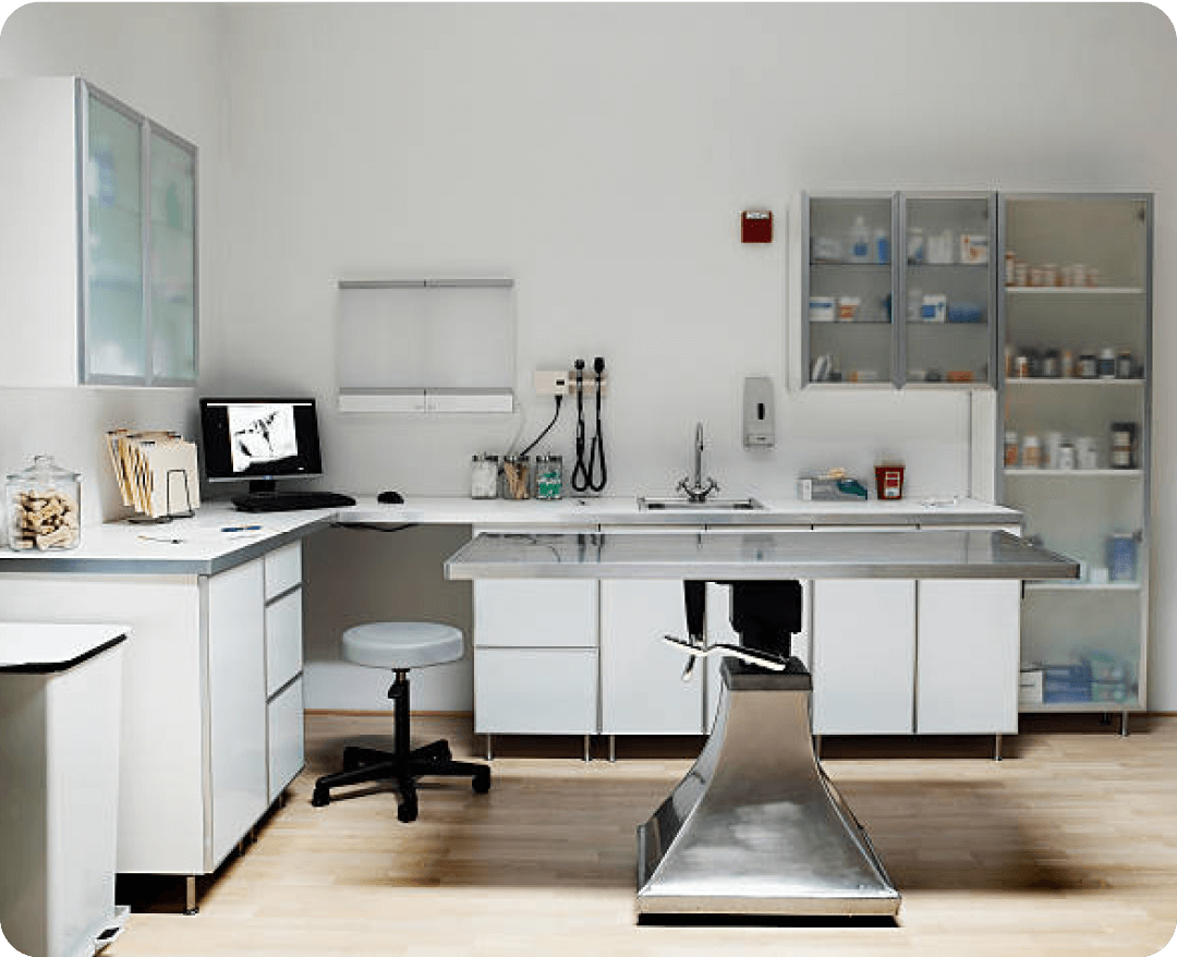 Állatorvosi műtő 1