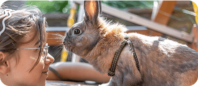 Kit válasszak? Blog